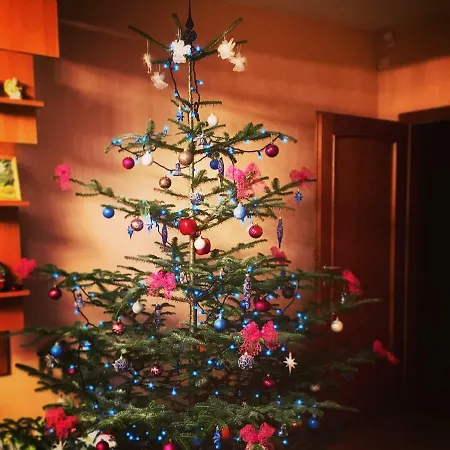 Rekreacny Dom Sablatura * Zuberec