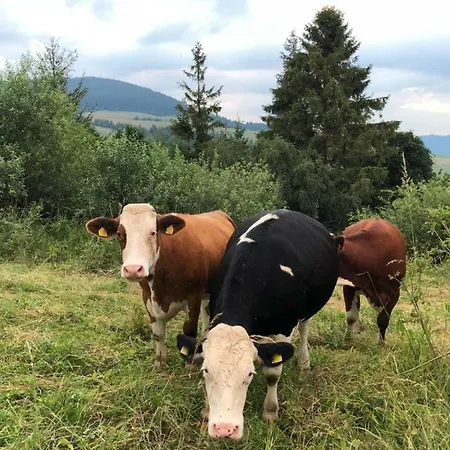 Rekreacny Dom Sablatura *