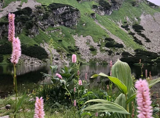 Rekreacny Dom Sablatura Hébergement de vacances